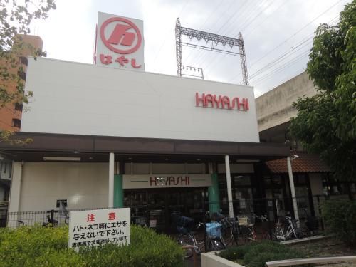 近くのジョイフルプラザはやし八尾モール店まで302m（徒歩4分）