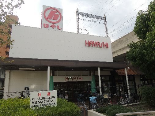 近くのスーパーはやし八尾店まで828m（徒歩11分）