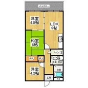 カーサフィオーレ弐番館の間取り画像