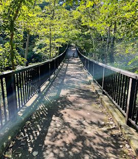 近くのくずは台南公園まで481m（徒歩7分）