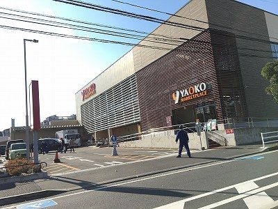 近くのザ・ダイソー ヤオコー平塚宮松町店まで225m（徒歩3分）