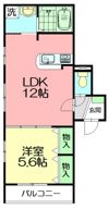 ルミエール湘南の間取り画像