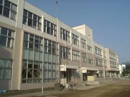 近くの藤沢市立秋葉台小学校まで940m(徒歩12分)