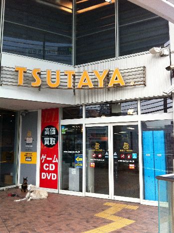 近くのTSUTAYA 茅ヶ崎駅前店まで701m(徒歩9分)
