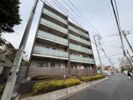 ヴィオレット湘南の間取り画像
