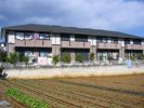 セナAの間取り画像