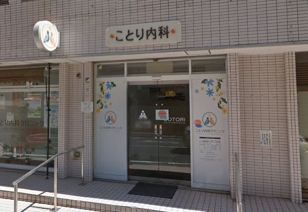 近くのことり内科クリニックまで596m（徒歩8分）