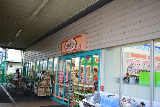 近くのザ・ダイソー 平塚河内店まで529m（徒歩7分）
