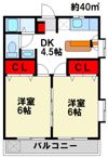 レモンハウスの間取り画像