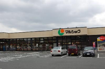 近くのトライアルマートまで700m(徒歩9分)