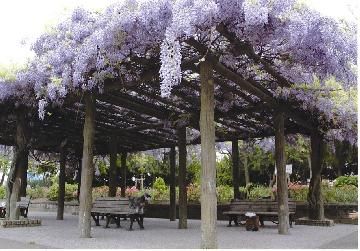 近くの八尾木北第1公園まで930m（徒歩12分）