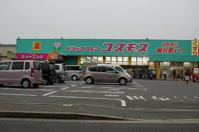 近くのコスモスまで600m(徒歩8分)