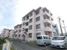 多賀ハイツAの間取り画像