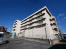 鹿島マンションの間取り画像