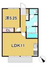 CASA WINIIの間取り画像