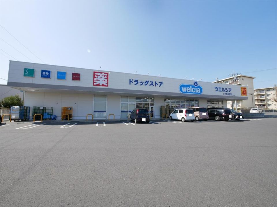 近くのウエルシア日立南高野店まで954m（徒歩12分）