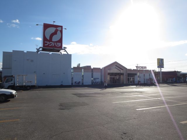 近くのフクハラ タイガー店まで331m(徒歩5分)