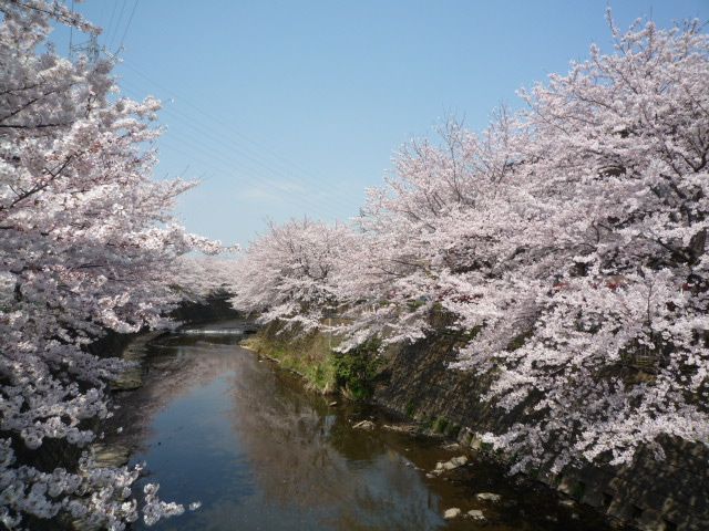 近くの恩田川まで140m（徒歩2分）