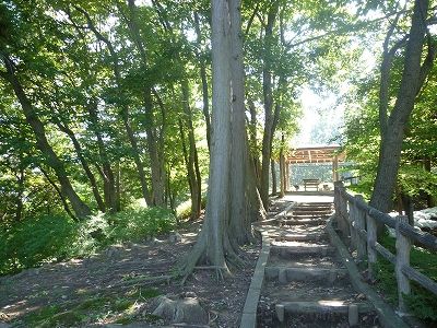 近くの松葉公園まで1,537m(徒歩20分)