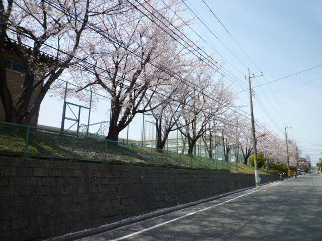 近くの成瀬台小学校　約270mまで270m（徒歩4分）