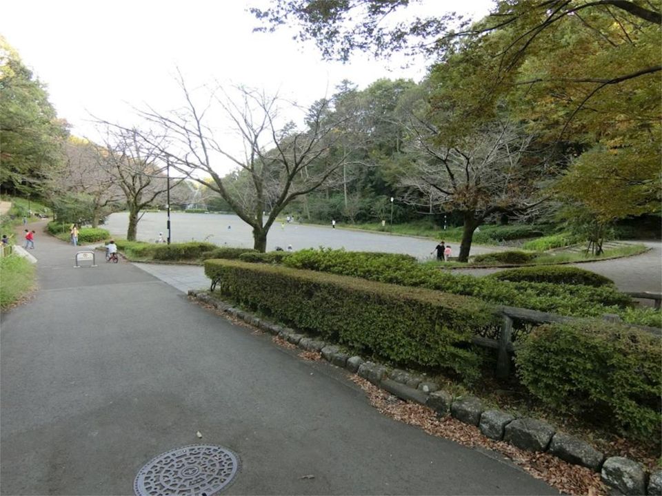 近くの芹ヶ谷公園まで1,141m（徒歩15分）