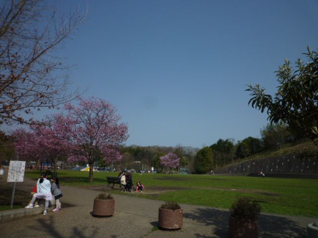 近くの奈良山公園まで500m(徒歩7分)