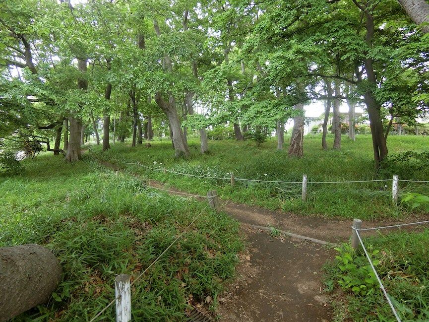 近くの金森山市民の森まで511m(徒歩7分)