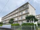 町田コープタウン18号棟（2030年12月末まで定期借家契約の間取り画像