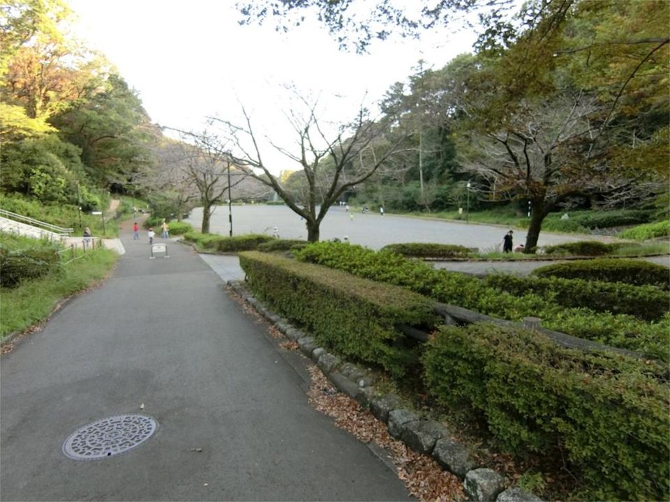 近くの芹ヶ谷公園まで374m(徒歩5分)
