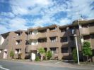 岩澤マンションの間取り画像