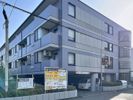 ピアレジアオヤマVの間取り画像