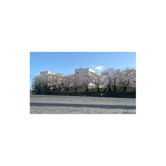 近くの横浜市立城郷中学校まで1,260m(徒歩16分)