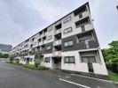 L－commu＋PLUS相模大野の間取り画像