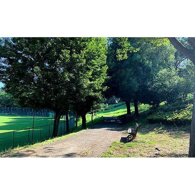近くの日向山公園まで200m(徒歩3分)