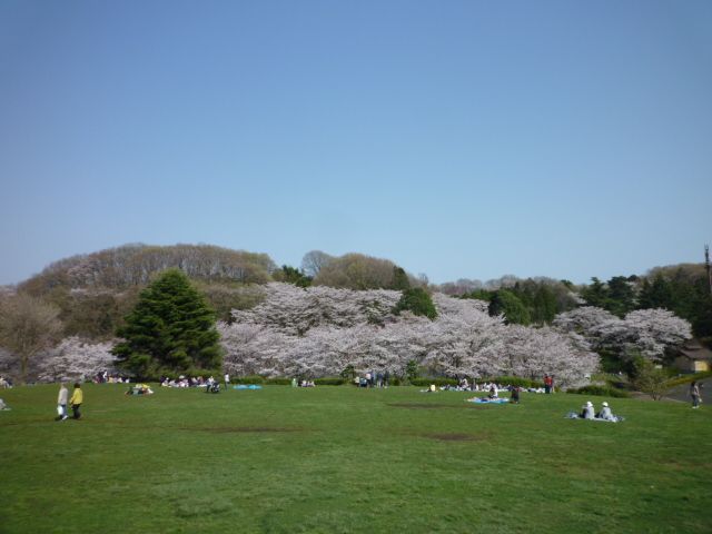 近くのこどもの国まで1,044m(徒歩14分)