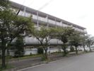 アルファフレグランスの間取り画像