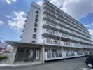 スリースター大運橋の間取り画像