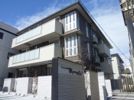 D-room南住吉 マリキータの間取り画像