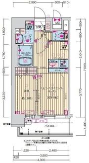 プレサンス桜川グロワールの間取り画像
