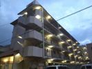 マンション太平2号館の間取り画像