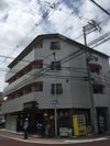 ハイネストイマイIの間取り画像