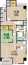 シャーメゾン白鷺の間取り画像