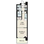 コンソラーレ上町台IIの間取り画像