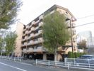 千里山アカシヤハイツの外観画像