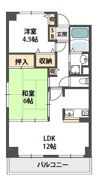 グレイスアベリアの間取り画像