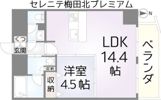 セレニテ梅田北Premiumの間取り画像