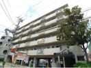 アイボリッチマンションの間取り画像