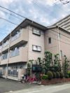 ノウブルハイツ平野の間取り画像