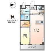 RIKI RESIDENCEの間取り画像