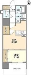 RJRプレシア南堀江の間取り画像